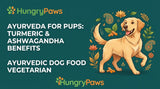 The Science of Balance: Why Ayurvedic Dog Food Vegetarian Diets Prioritize Turmeric and Ashwagandha