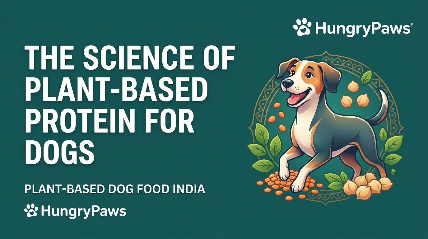 plant-based dog food India