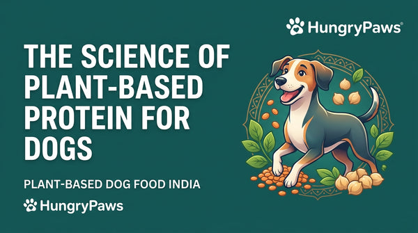 The Science of Plant-Based Protein for Dogs: A Deep Dive for Indian Pet Parents (Jul 20, 2026)