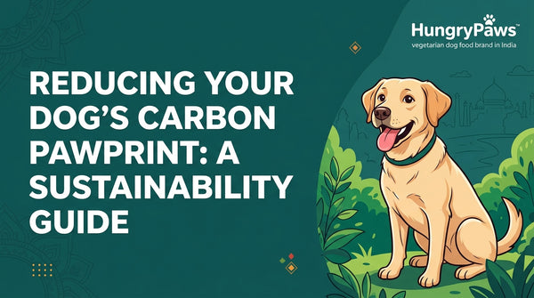 Sustainable Dog Food India: Reducing Your Pet's Carbon Pawprint (May 15, 2026)