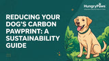 Sustainable Dog Food India: Reducing Your Pet's Carbon Pawprint (May 15, 2026)