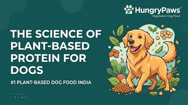 The Science of Plant-Based Protein: A Guide to Plant-Based Dog Food India (Apr 27, 2026)