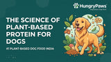 The Science of Plant-Based Protein: A Guide to Plant-Based Dog Food India (Apr 27, 2026)