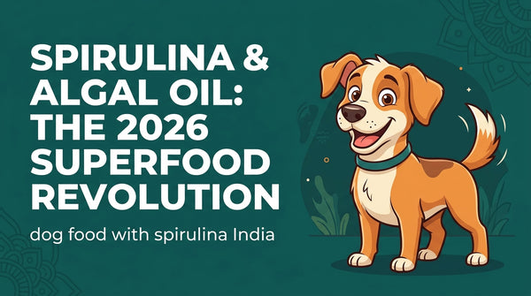 Dog Food with Spirulina India: The 2026 Superfood Revolution with Algal Oil (Jun 04, 2026)