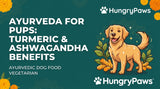 Ayurveda for Pups: The Science of Turmeric and Ashwagandha in Ayurvedic Dog Food Vegetarian Diets