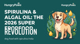 The 2026 Superfood Revolution: Why Choose Dog Food With Spirulina India (May 07, 2026)