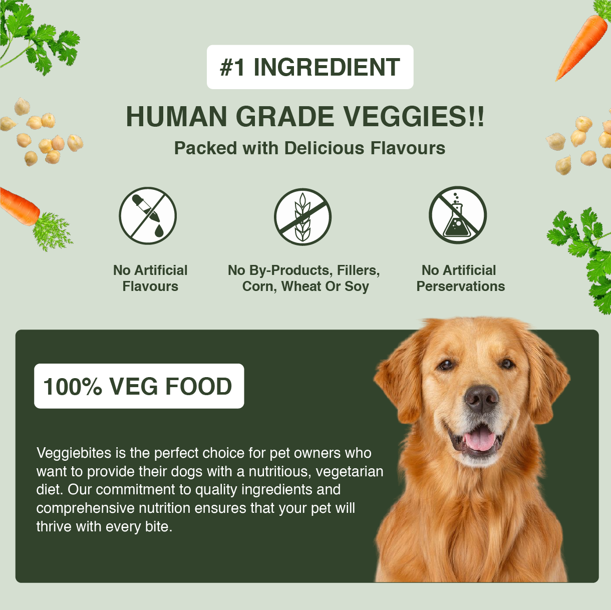 VeggieBites 100% Veg Dog Food For Puppies